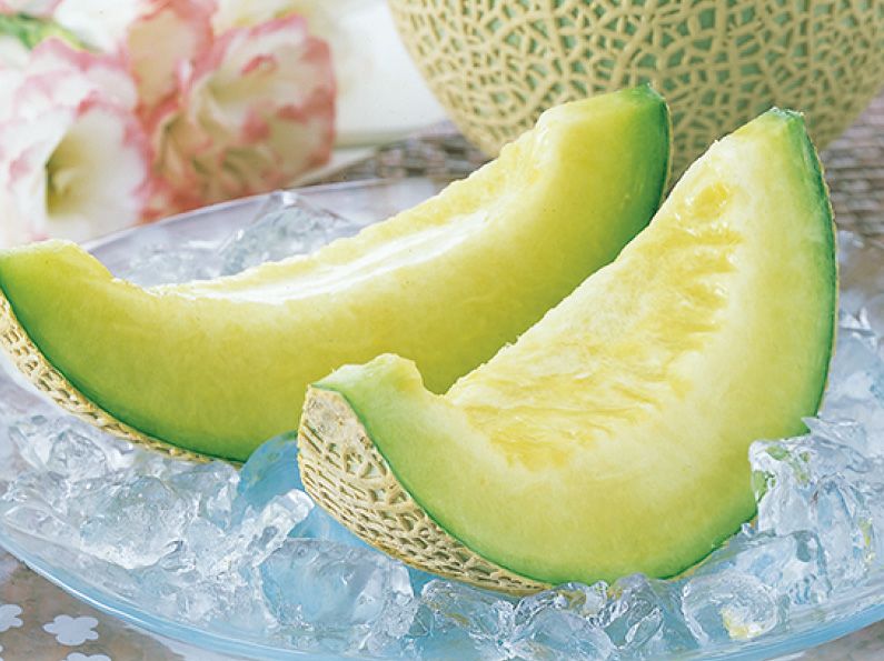 メロン様【M・15】 メロン | JA常総ひかり