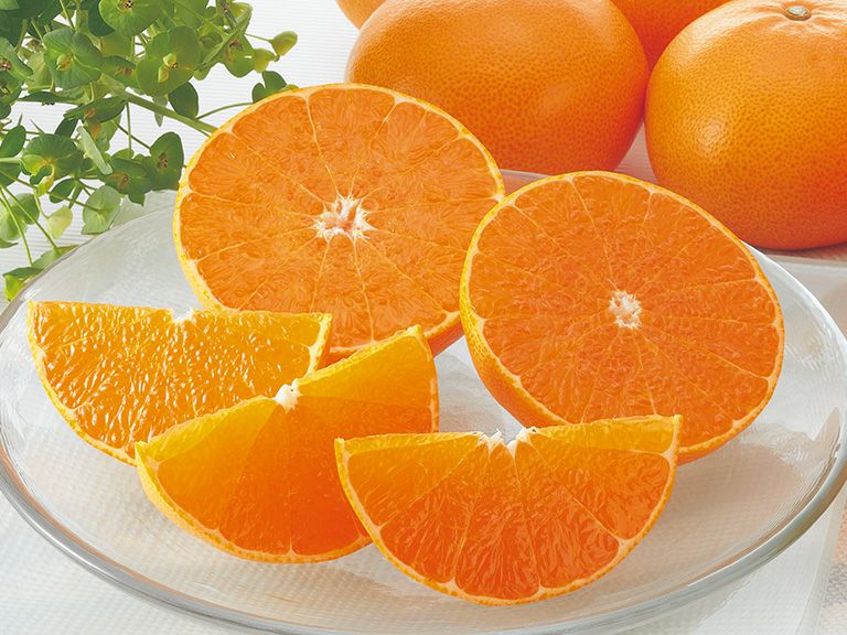 000000000439-org.jpg?t=