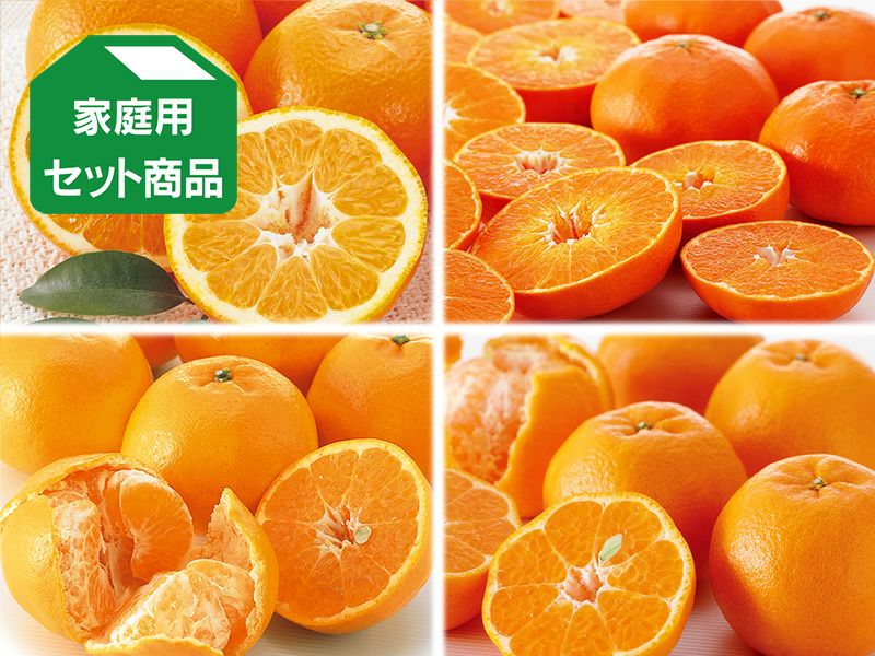 西之香 | のま果樹園
