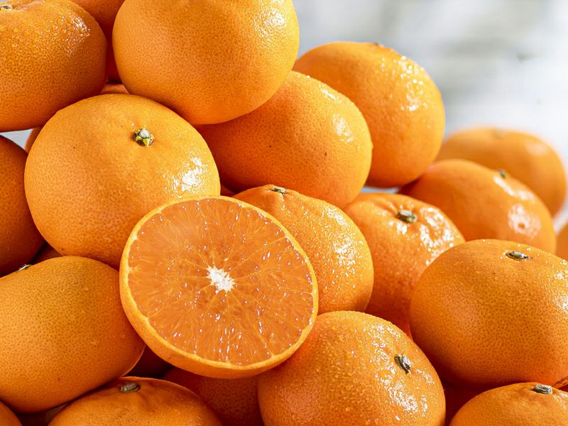 柑橘よくばりＡセット