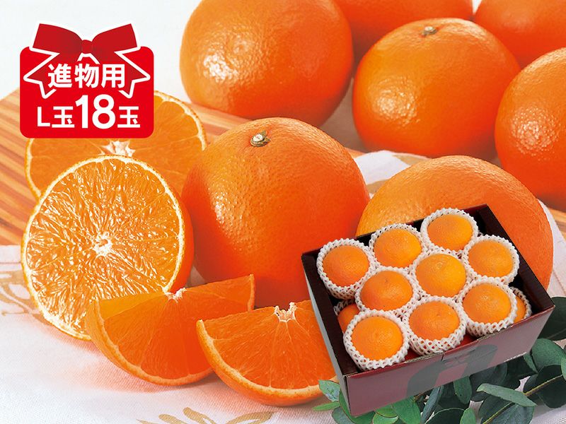 甘平 約2kg-家庭用 | のま果樹園