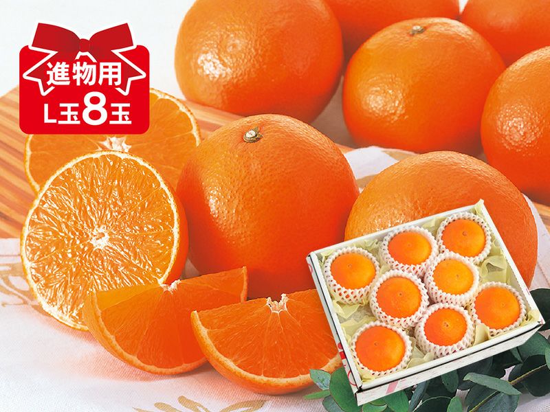 媛まどんな Bセット（8～12個前後）-贈答用 | のま果樹園