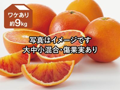 愛媛産「ワケありブラッドオレンジ」約5kg | のま果樹園