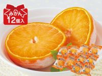 旬柑氷結・愛媛みかん24個セット【冷凍みかん】 | のま果樹園