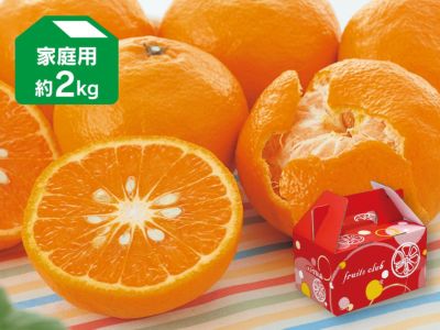 カラマンダリン約2kg家庭用