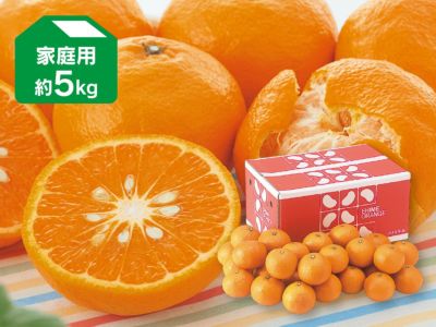 わけあり 河内晩柑 4．5kg｜郵便局のネットショップ