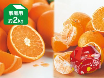 デコタンゴール＆せとか-家庭用2kg(各1kg) | のま果樹園
