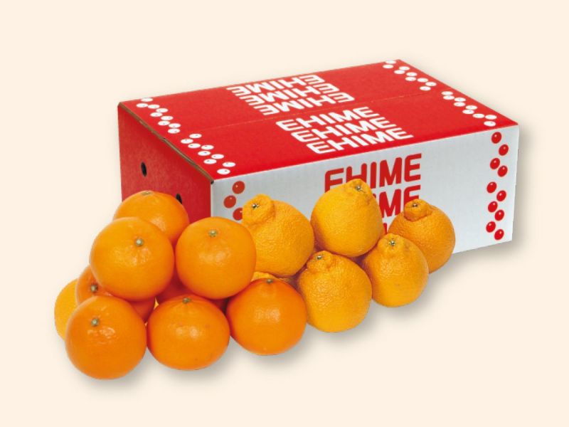 デコタンゴール＆せとか-家庭用4kg(各2kg) | のま果樹園