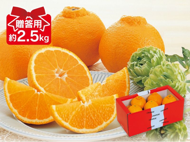 まどんな（愛媛果試28号） 小箱 Lサイズ 6玉入り | 果物