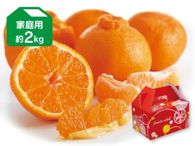 デコタンゴール約2kg-家庭用