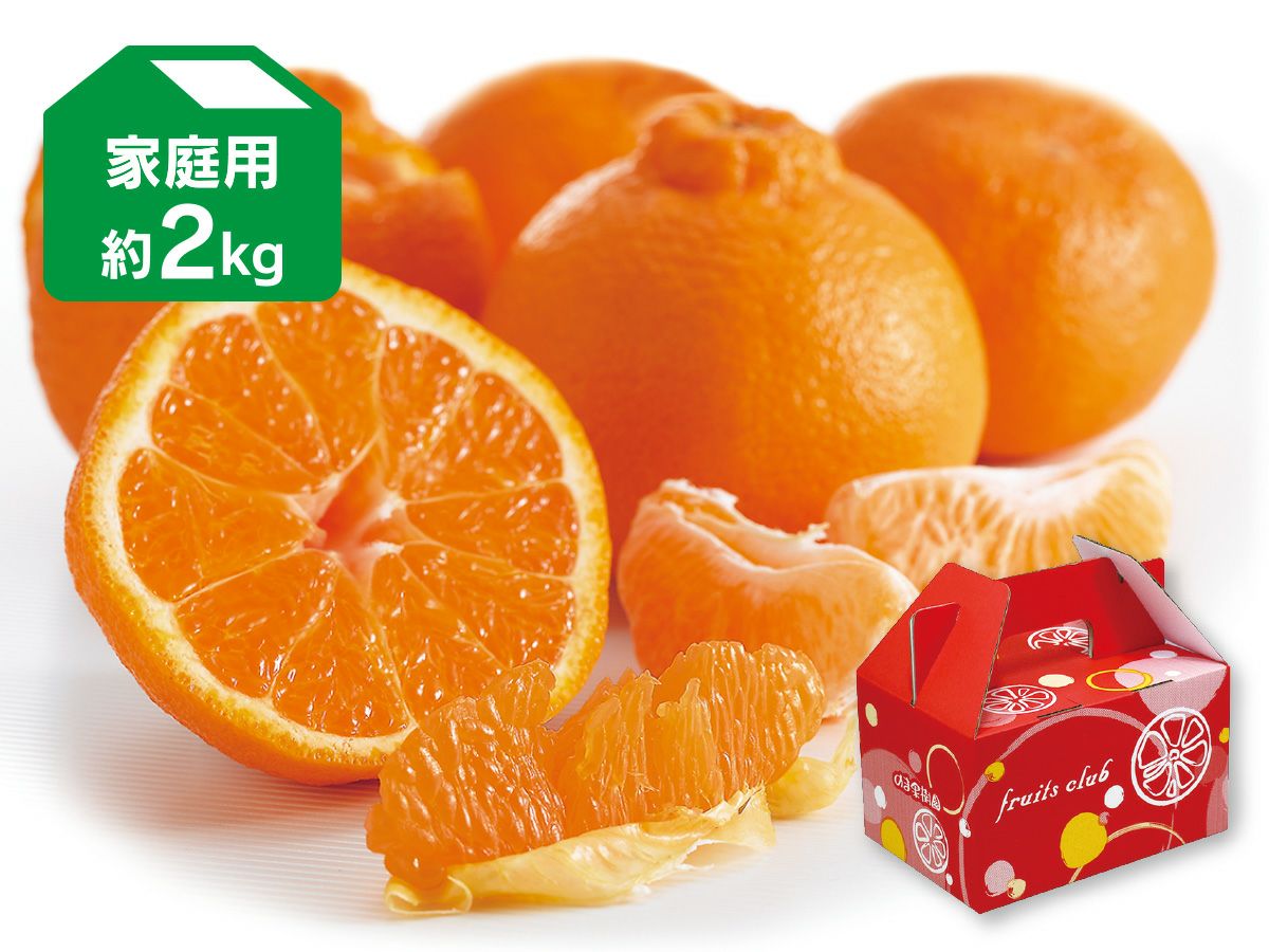 デコタンゴール約2kg-家庭用 | のま果樹園