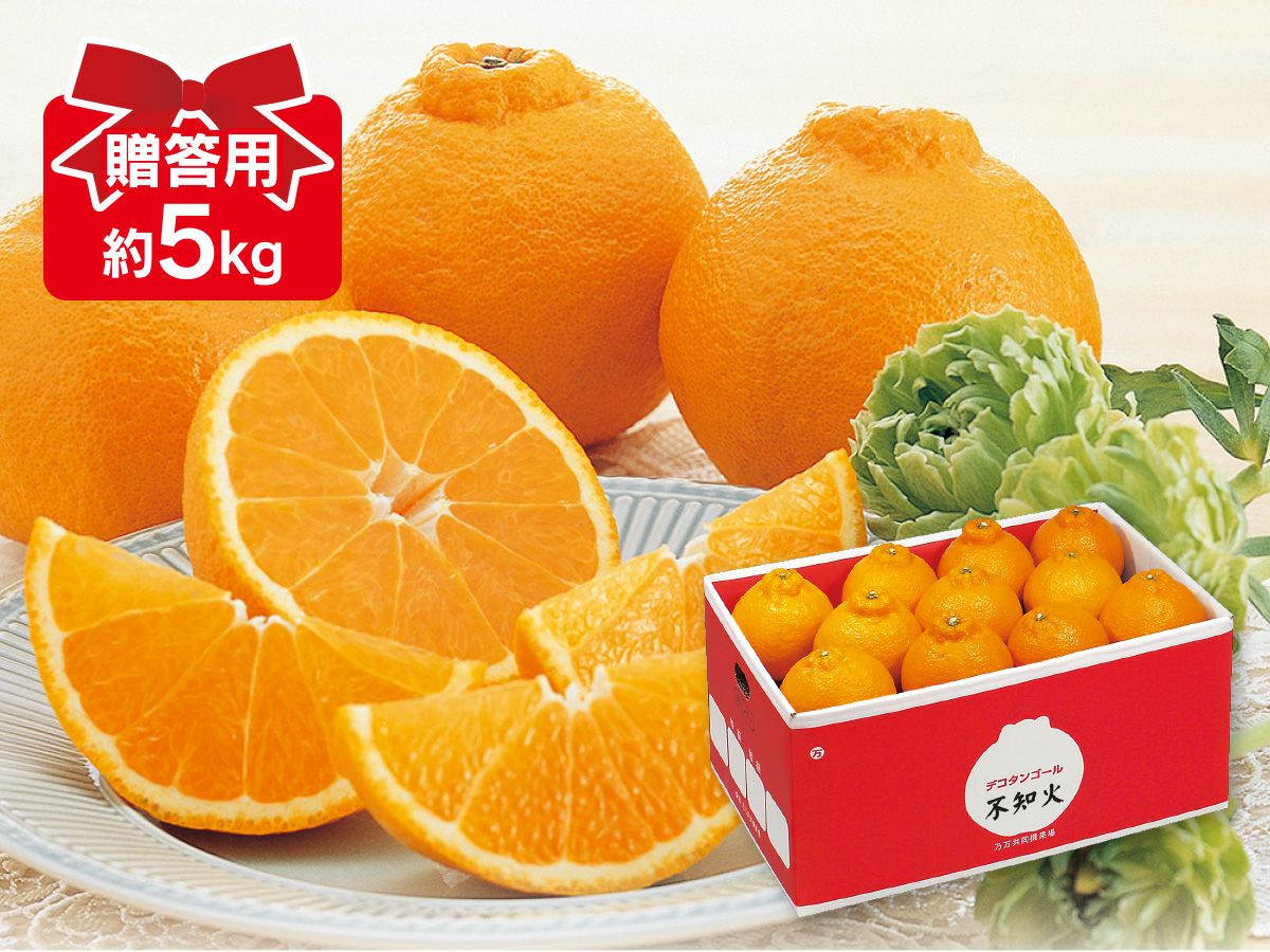 デコタンゴール約5kg-贈答用 | のま果樹園