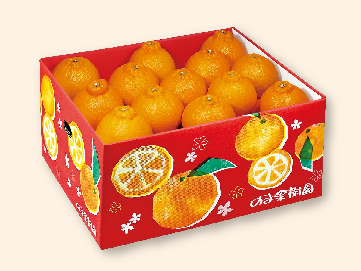 デコタンゴール約7kg-贈答用 | のま果樹園