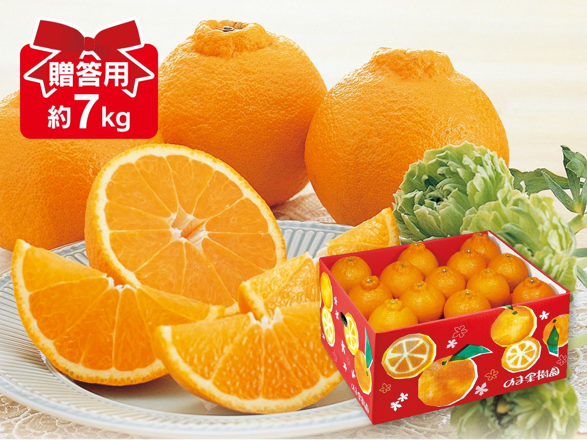 デコタンゴール約7kg-贈答用 | のま果樹園