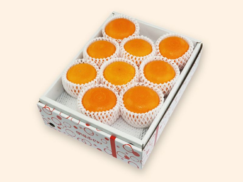 セ*き様 arまとめ売り100枚セット セ*き様 arまとめ売り100枚セット ポケモンカード ar まとめ売り AR