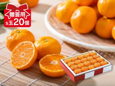 愛媛が誇る高級柑橘・甘平はギフトにもおすすめ【贈答用5kg】