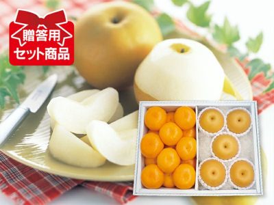 豊水梨 約3.5kg | のま果樹園