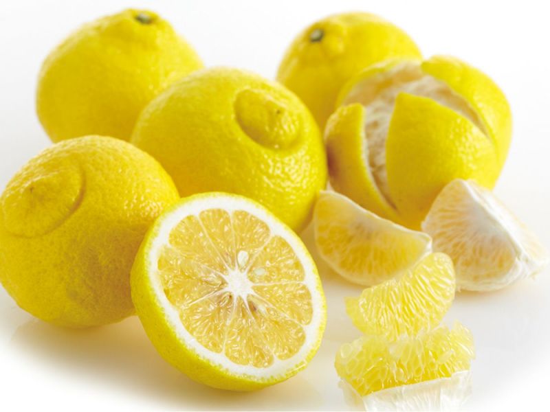 はるか様　複数購入② はるか約2kg-家庭用 | のま果樹園