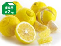 モンモモパール柑３Ｌ10kg.はるか5kg はるか約2kg-家庭用 | のま果樹園