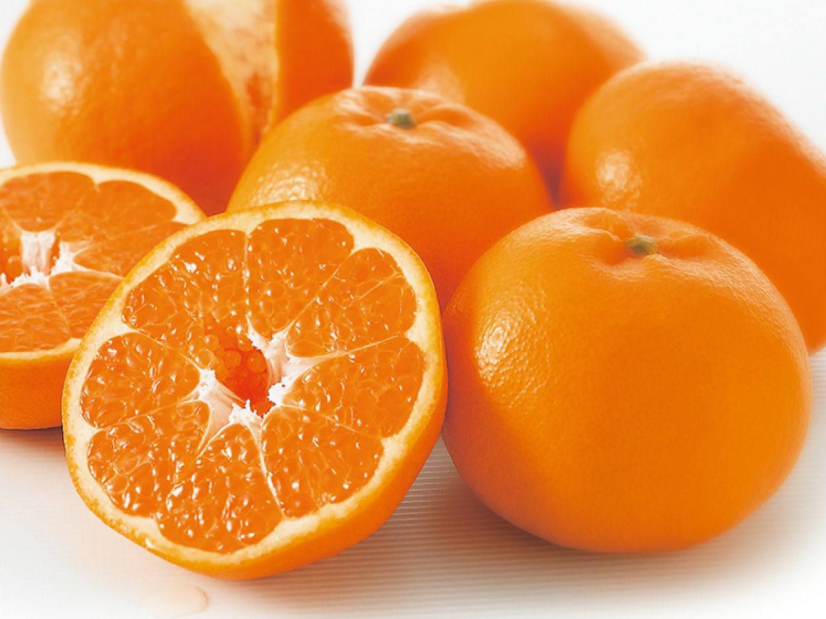 000000000302-01-xl.jpg?t=