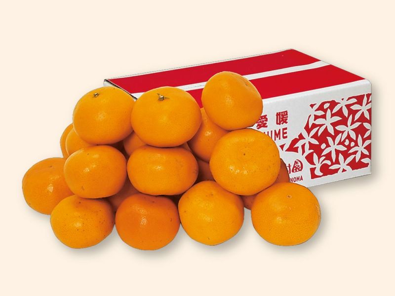 はれひめ2kg-家庭用 | のま果樹園