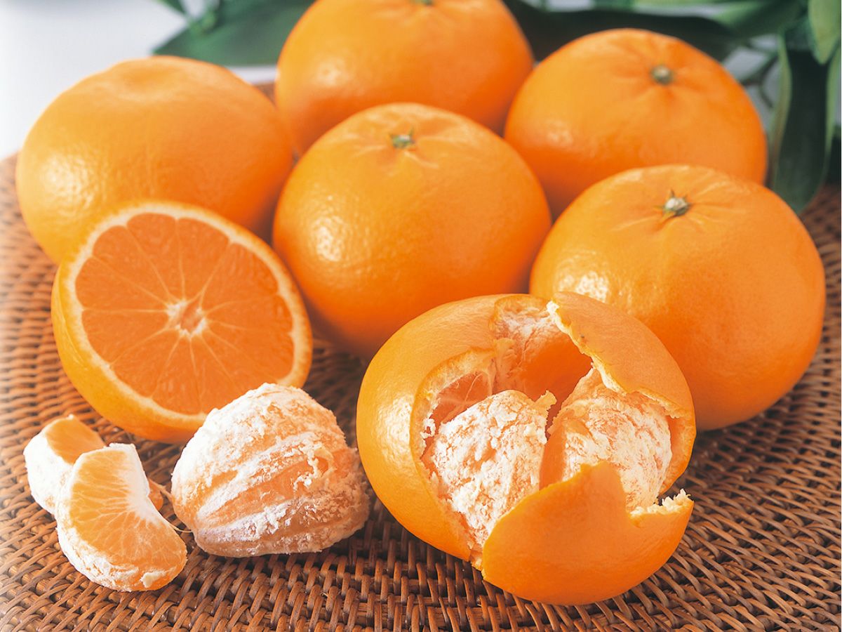 Amazon.co.jp: 訳あり 【愛媛県産 はれひめ 3kg】 みかん 約3kg