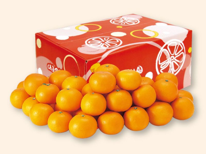 はれひめ5kg-家庭用 | のま果樹園