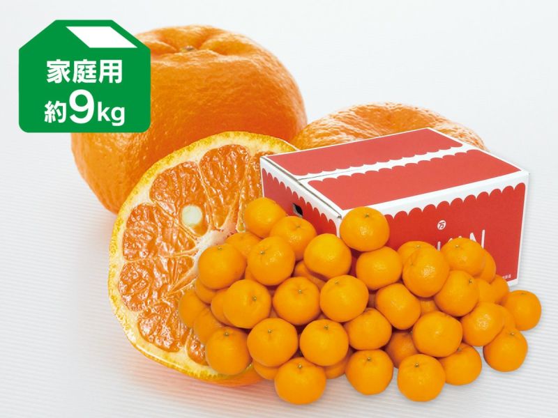 ポンカン約9kg-家庭用 | のま果樹園