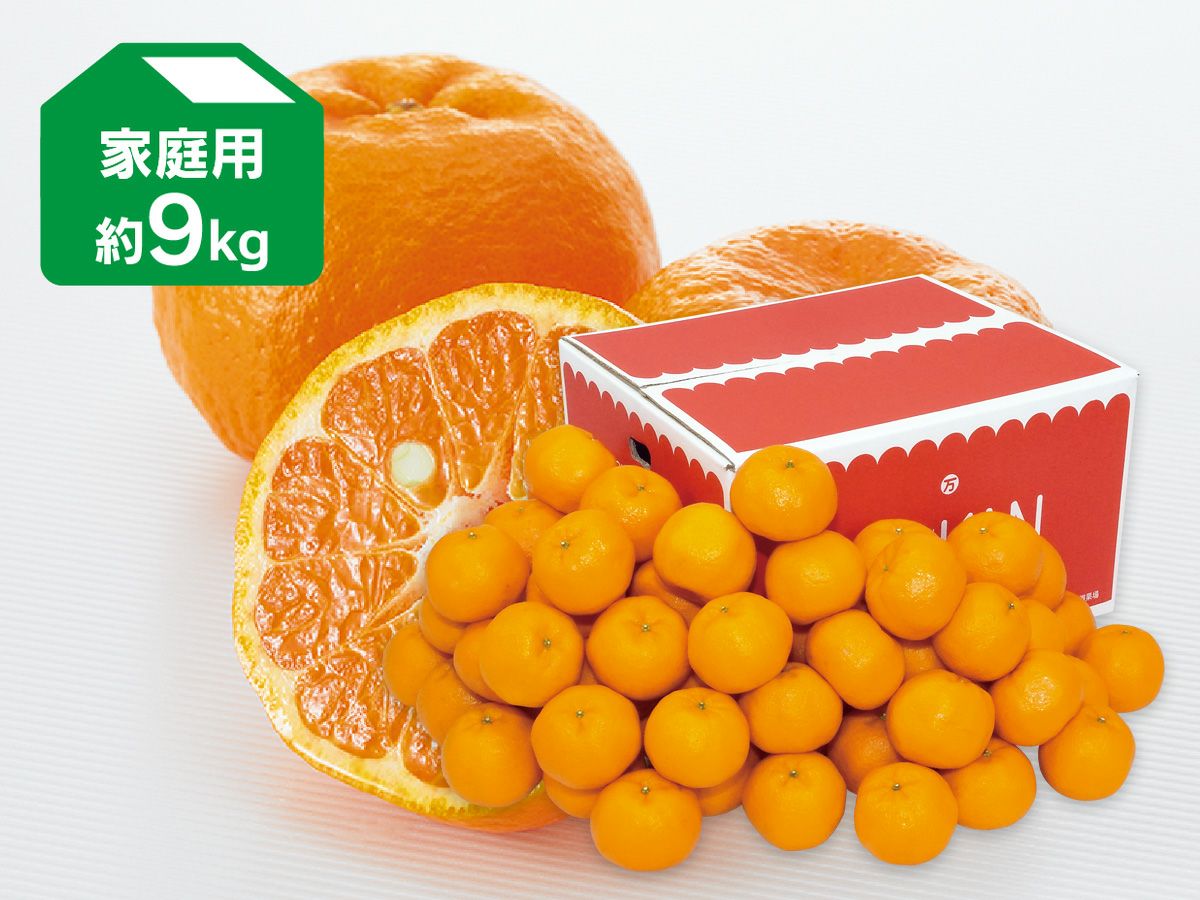 極早生みかん約2kg-家庭用 | のま果樹園