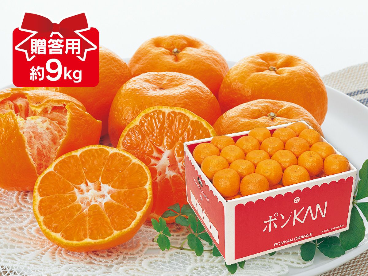ポンカンオレンジ約9kg-贈答用 | のま果樹園