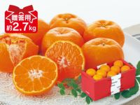 ポンカン約2.7kg-贈答用 | のま果樹園