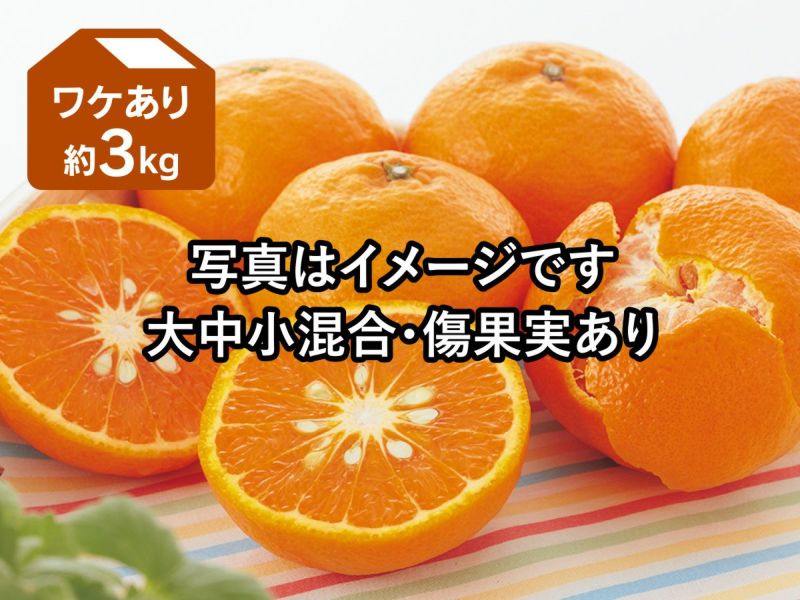 香川県産 カラマンダリン 8kg(4kg×2箱) - メルカリ