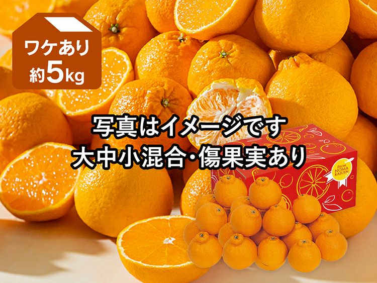 ワケあり | のま果樹園