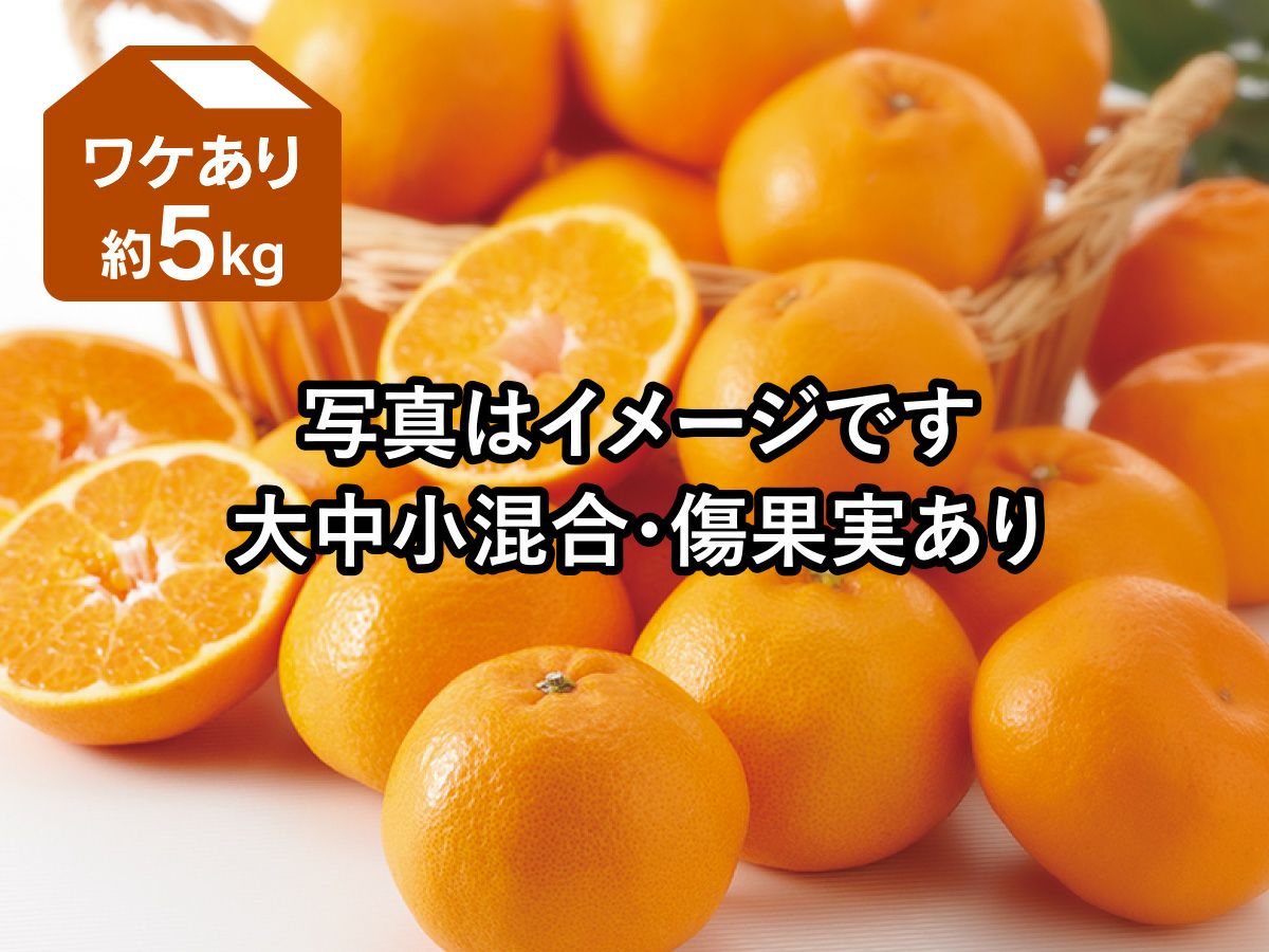 ワケありはるみ 約5kg | のま果樹園