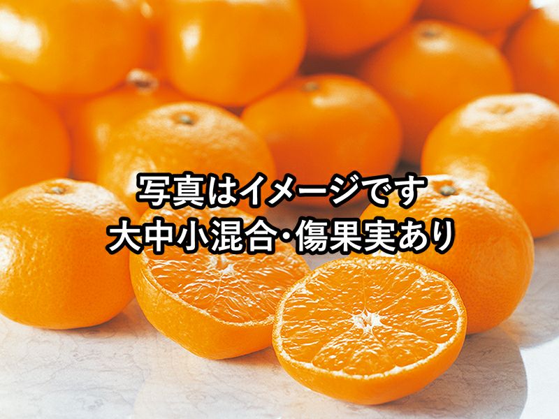 みかん お歳暮 ギフト】愛媛県 JAにしうわ 川上共選 最高等級みかん「味ピカ