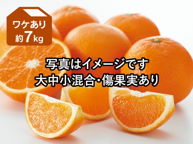 ワケあり | のま果樹園