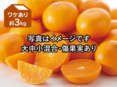 露地せとか約3kg-家庭用 | のま果樹園