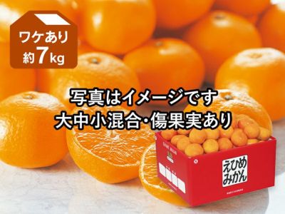 露地せとか約2kg-家庭用 | のま果樹園