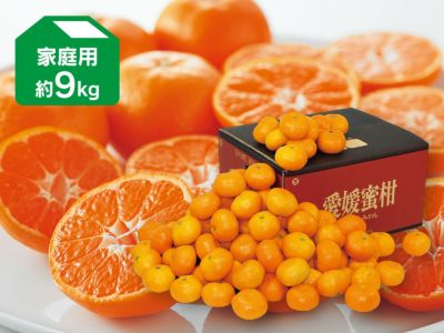 ワケあり愛媛みかん約9kg | のま果樹園