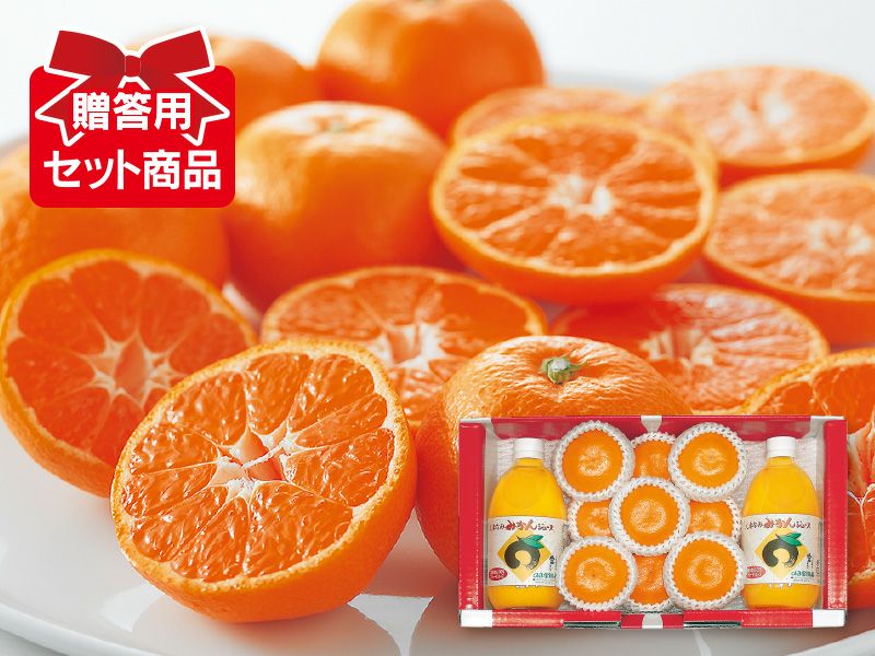 愛媛みかんとしまなみみかんジュースセット | のま果樹園