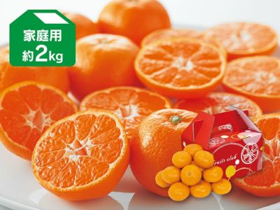 宮内いよかん約4kg-贈答用 | のま果樹園