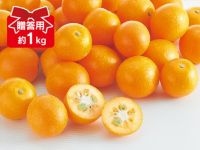 完熟きんかん約1kg | のま果樹園
