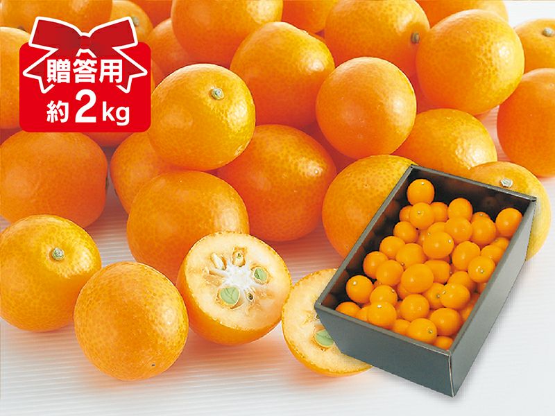 ベルガモット 約1kg 贈答用 | のま果樹園