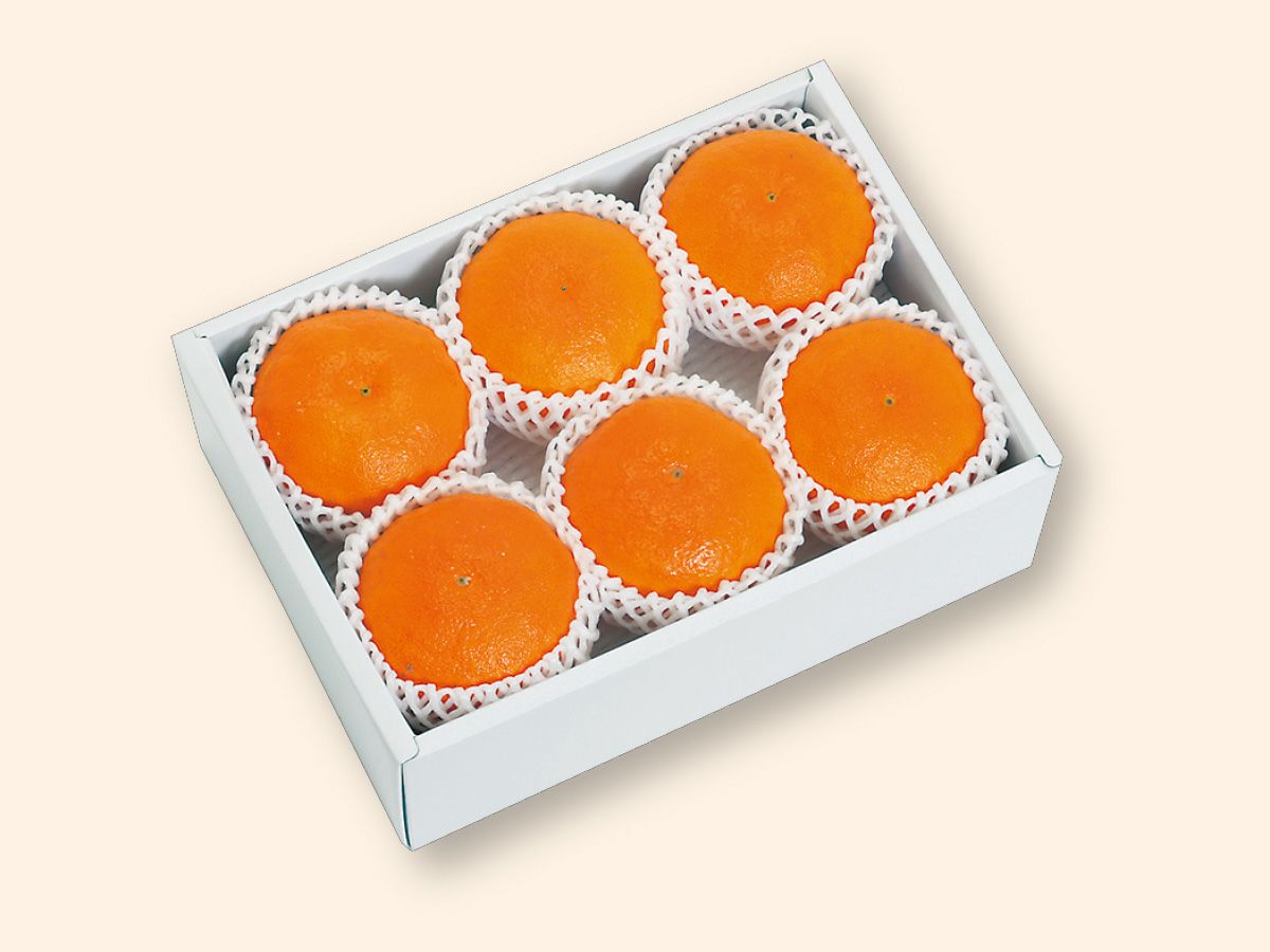 甘平 約1.5kg-贈答用 | のま果樹園