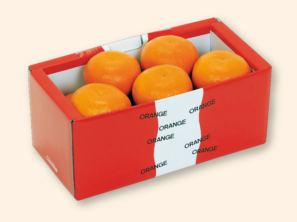 宮内いよかん約2.7kg-贈答用 | のま果樹園