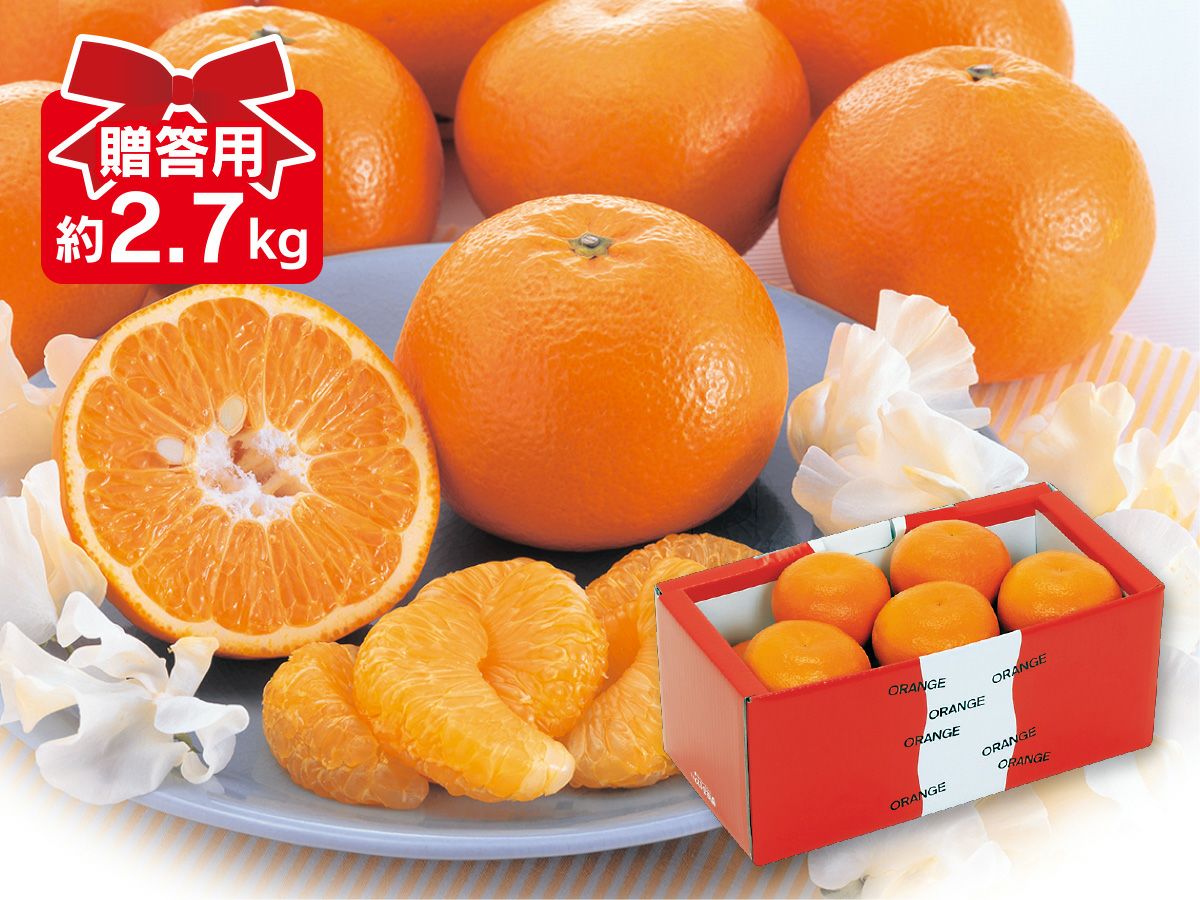 【専用出品】いよかん 000000000500-04-l.jpg?t=