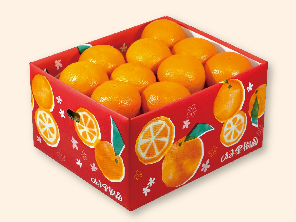 宮内いよかん約7.5kg-贈答用 | のま果樹園