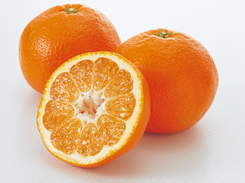 000000000507-01-l.jpg?t=