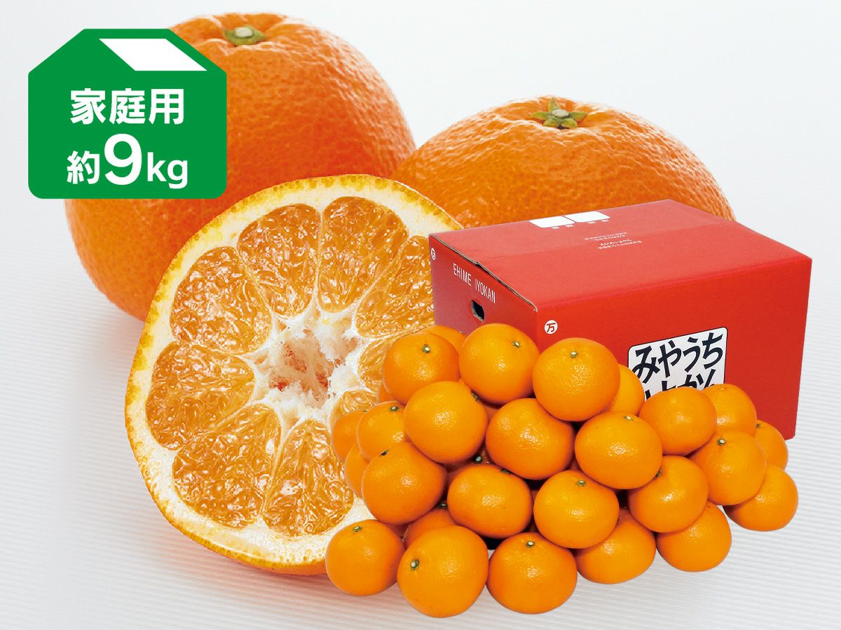 000000000507-03-xl.jpg?t=