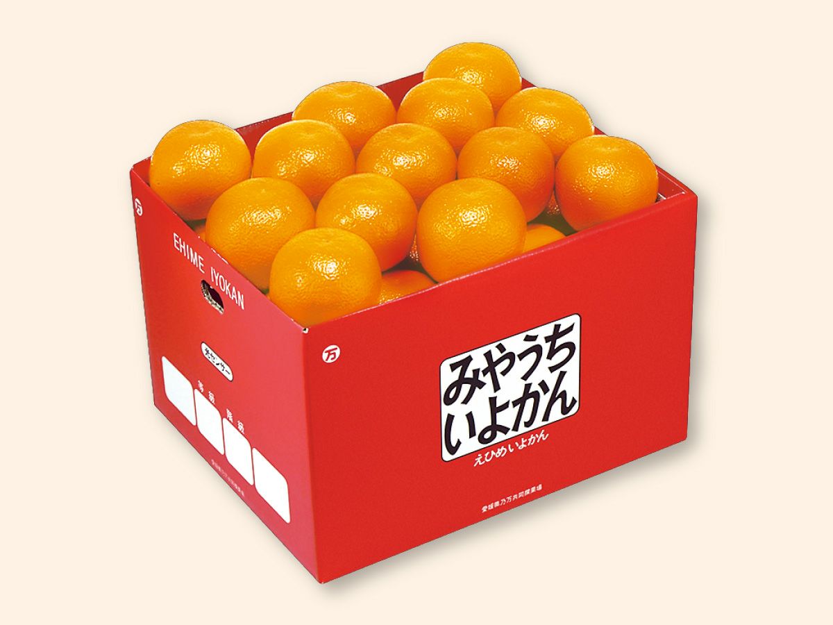 000000000508-03-l.jpg?t=